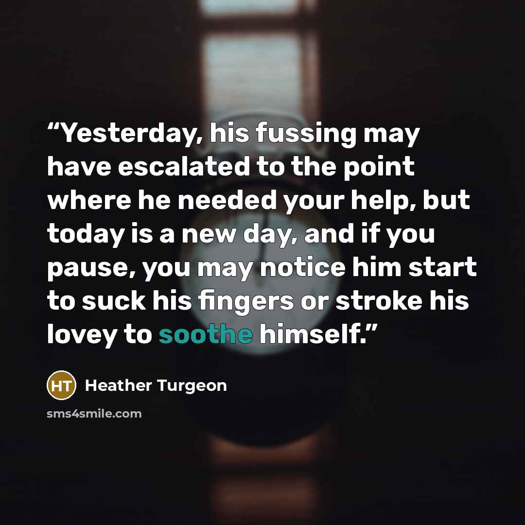 “Yesterday, his fussing may have escalated to the point where he needed your help, but today is a new day, and if you pause, you may notice him start to suck his fingers or stroke his lovey to soothe himself.” quote by Heather Turgeon