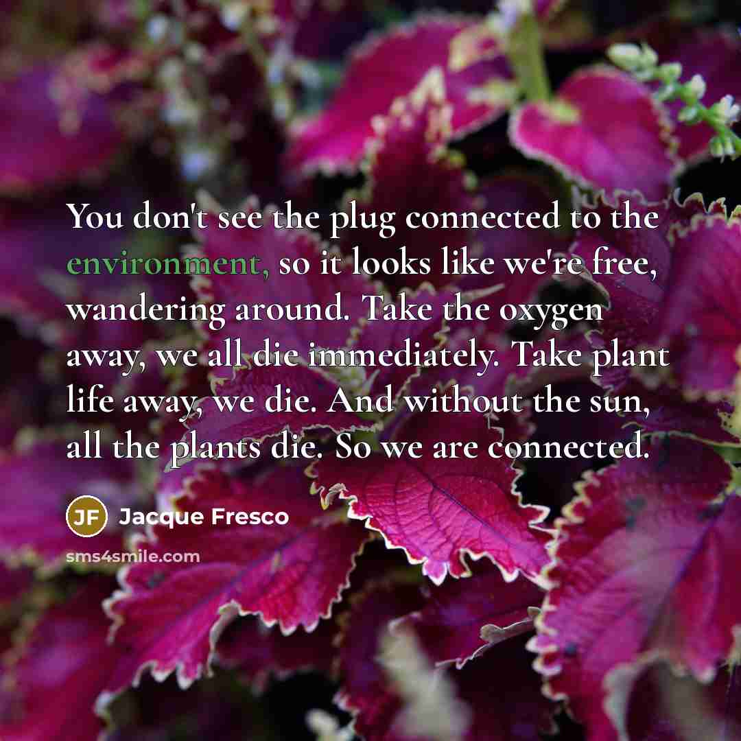 “You don't see the plug connected to the environment, so…” quote by Jacque Fresco