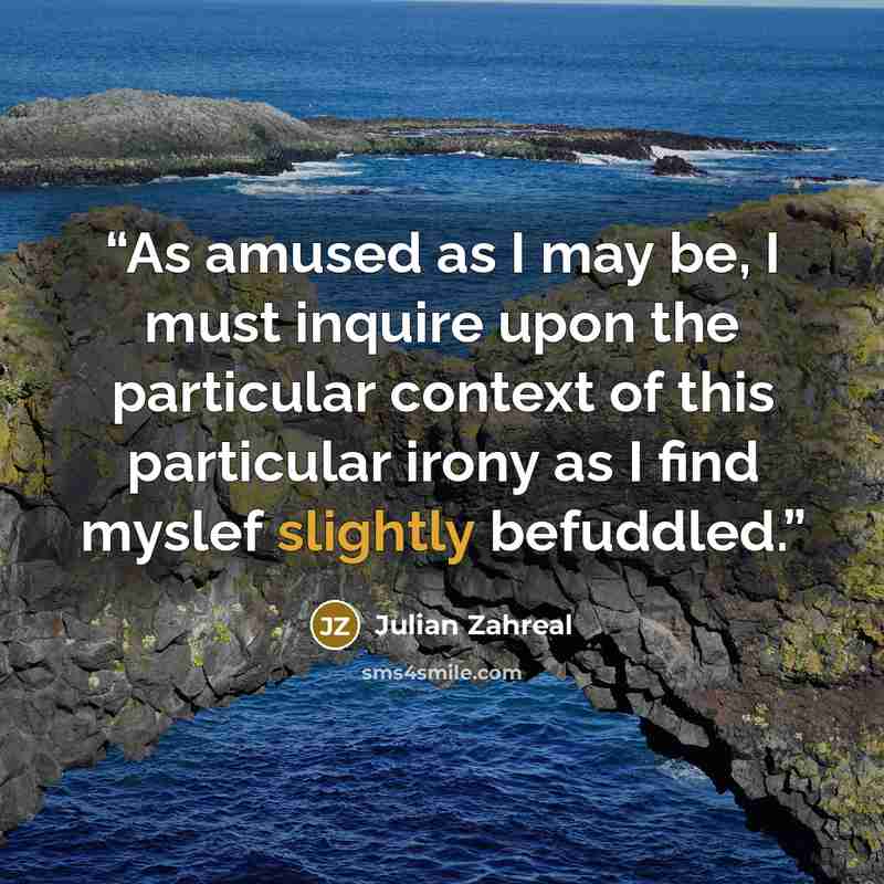 “As amused as I may be, I must inquire upon the particular context of this particular irony as I find myslef slightly befuddled.” quote by Julian Zahreal