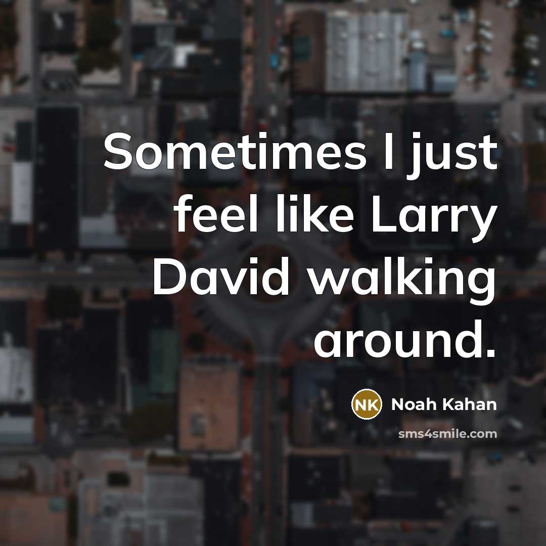 “Sometimes I just feel like Larry David walking around.…” quote by Noah Kahan