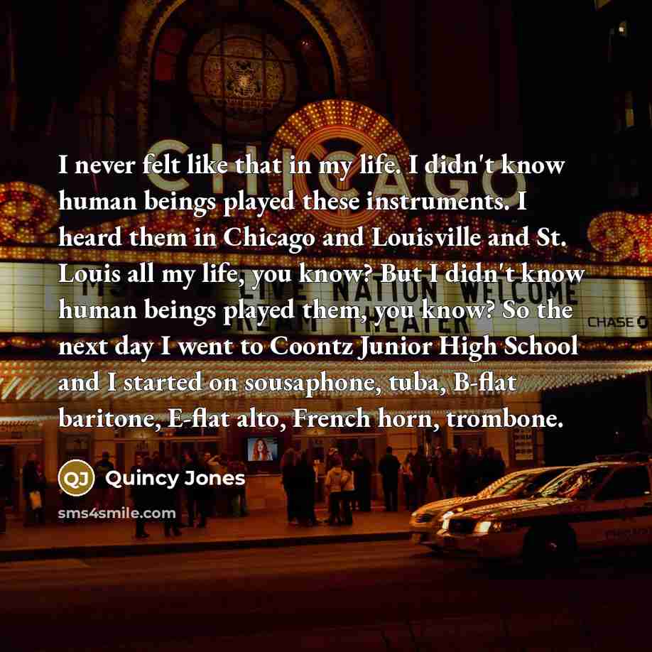 “I never felt like that in my life. I didn't…” quote by Quincy Jones
