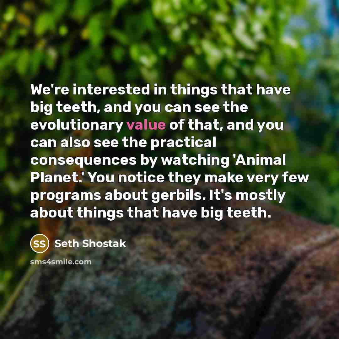 “We're interested in things that have big teeth, and you…” quote by Seth Shostak