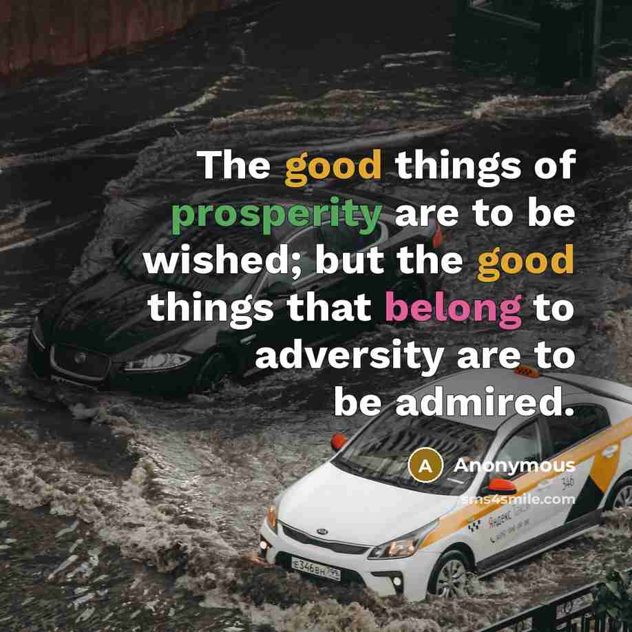 “The good things of prosperity are to be wished; but…” quote by Anonymous
