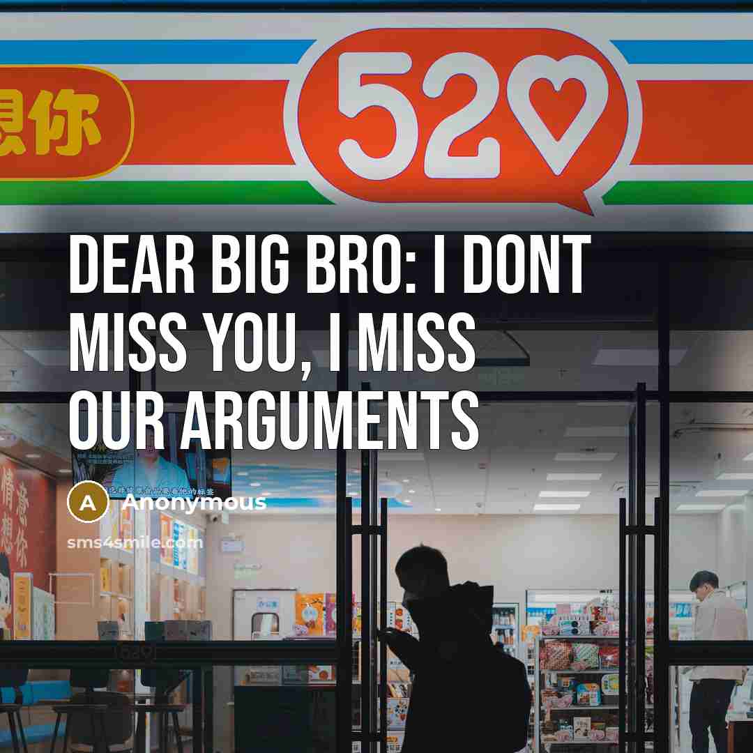 “Dear big bro: I dont miss you, I miss our arguments” quote by Anonymous