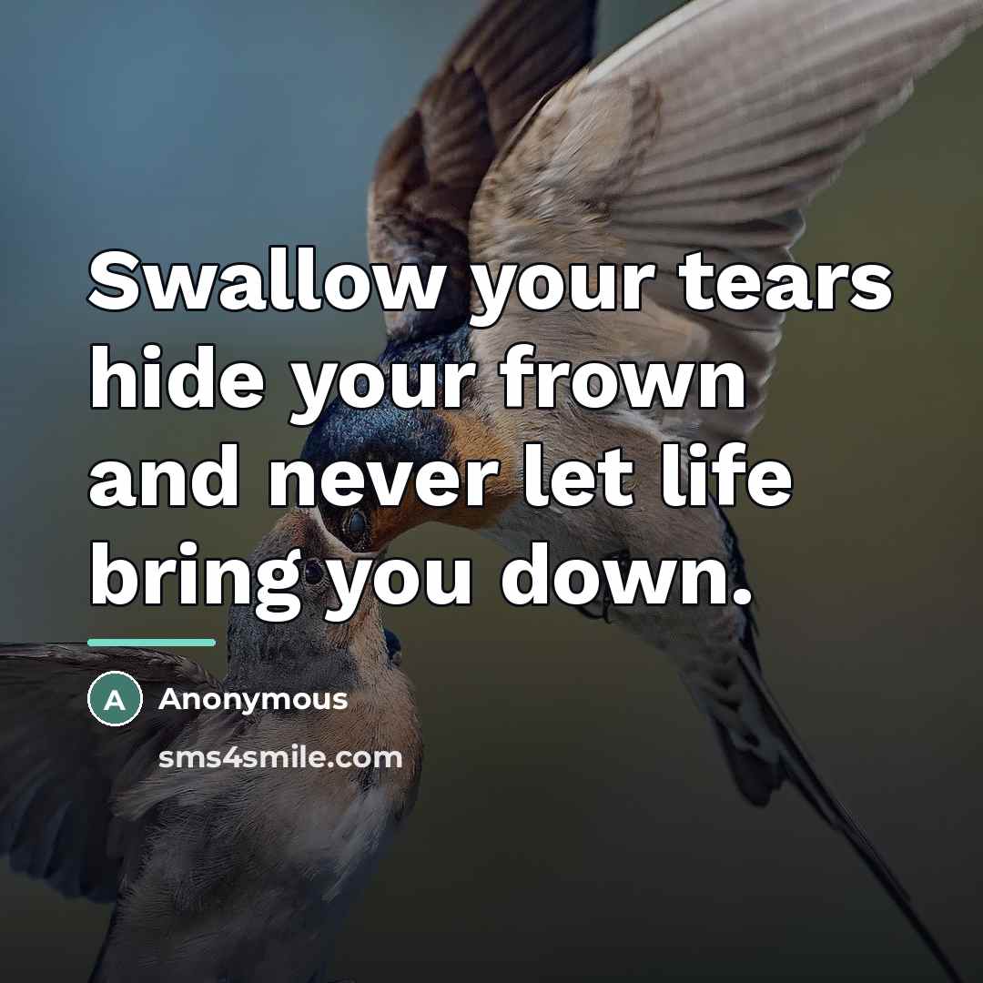 “Swallow your tears hide your frown and never let life…” quote by Anonymous