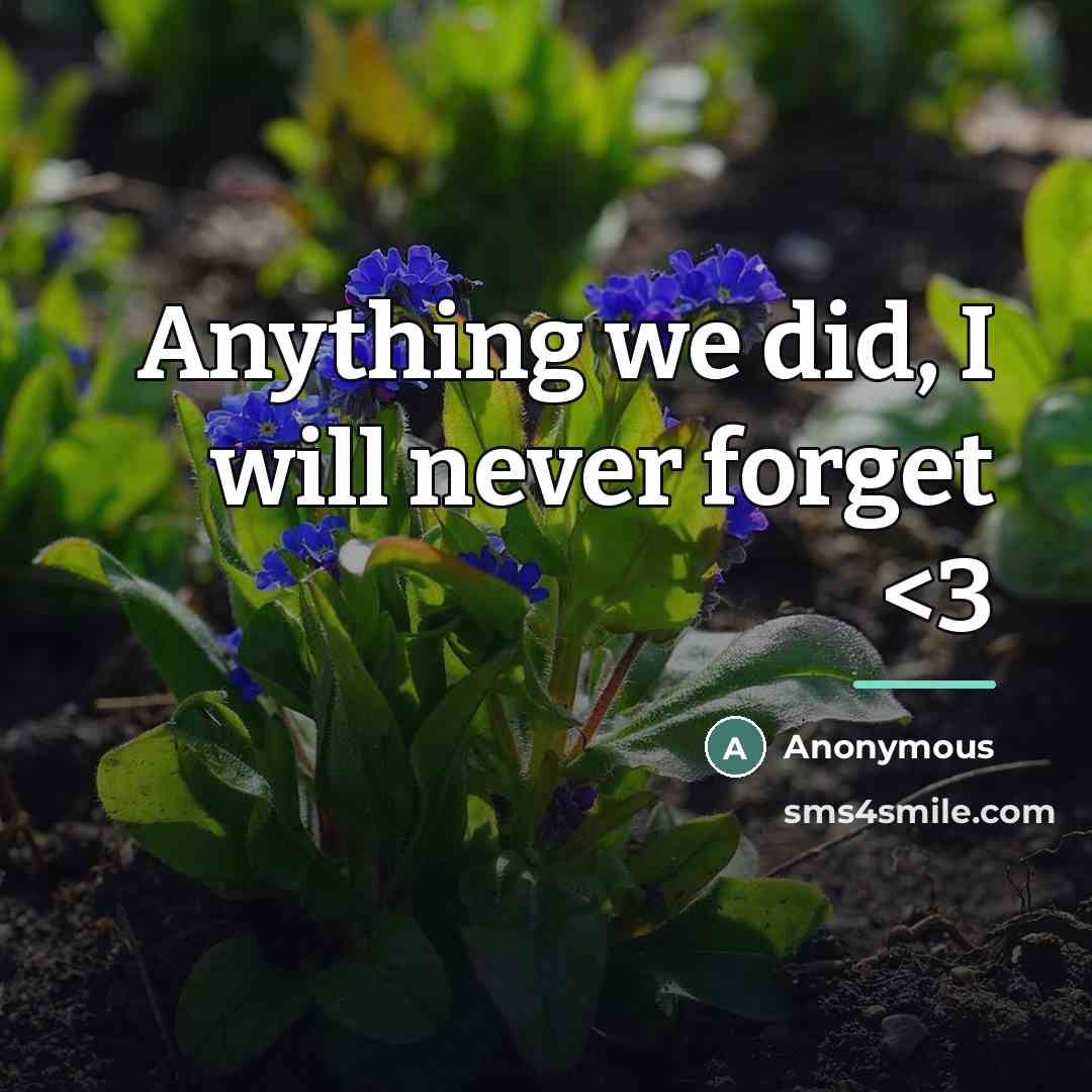 “Anything we did, I will never forget…” quote by Anonymous