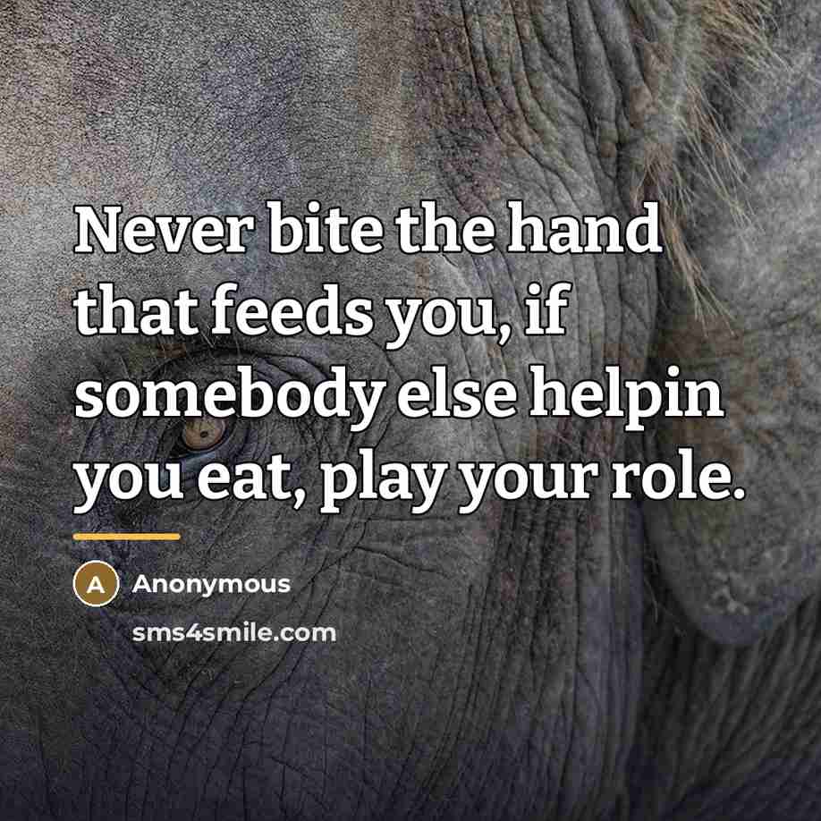 “Never bite the hand that feeds you, if somebody else…” quote by Anonymous