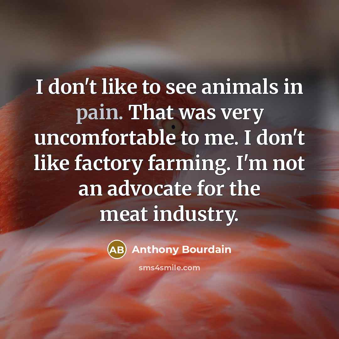 “I don't like to see animals in pain. That was…” quote by Anthony Bourdain