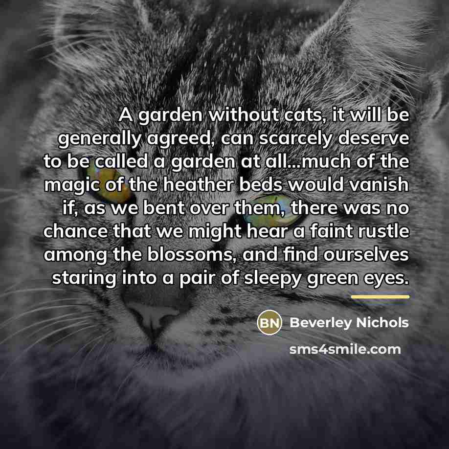 “A garden without cats, it will be generally agreed, can…” quote by Beverley Nichols