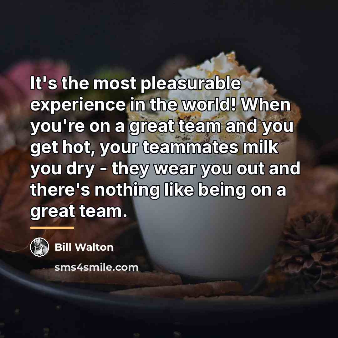 “It's the most pleasurable experience in the world! When you're…” quote by Bill Walton