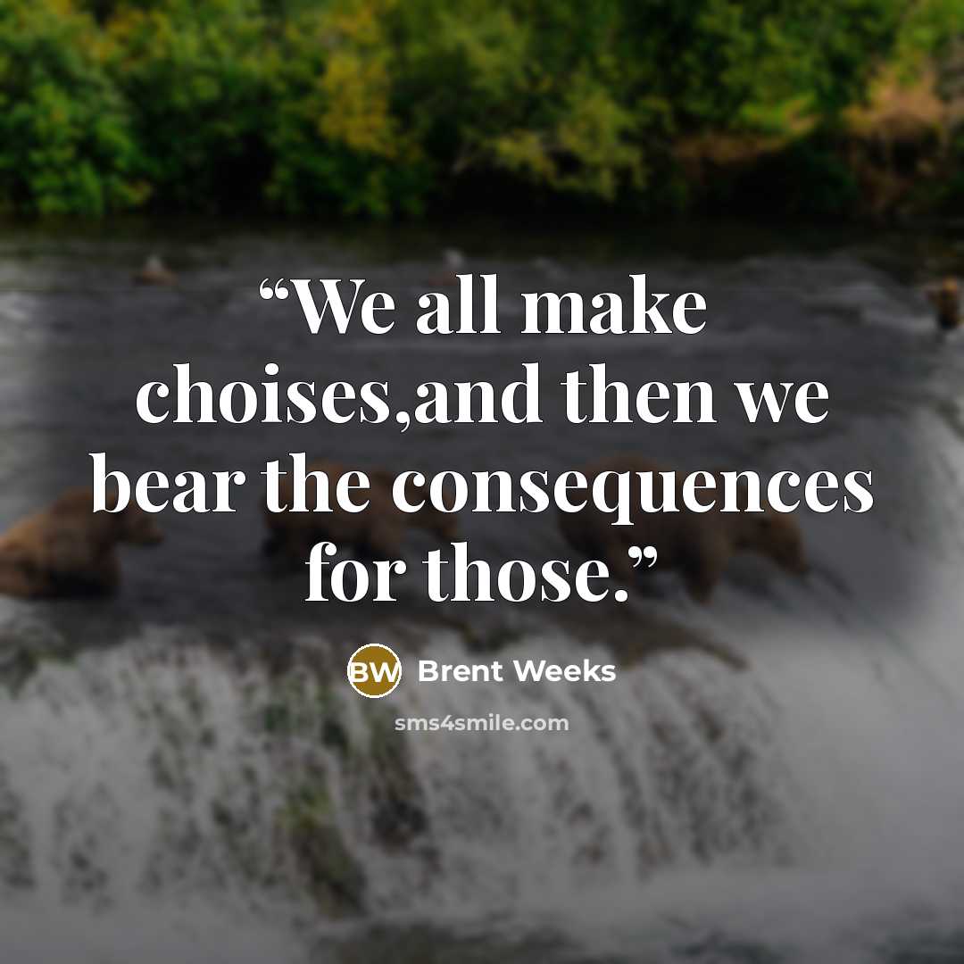 “We all make choises,and then we bear the consequences for those.” quote by Brent Weeks