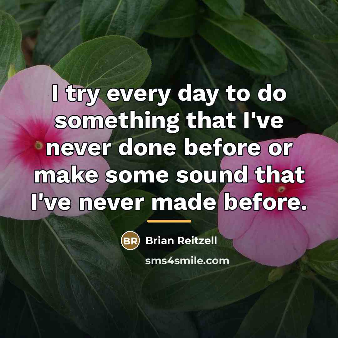 “I try every day to do something that I've never…” quote by Brian Reitzell