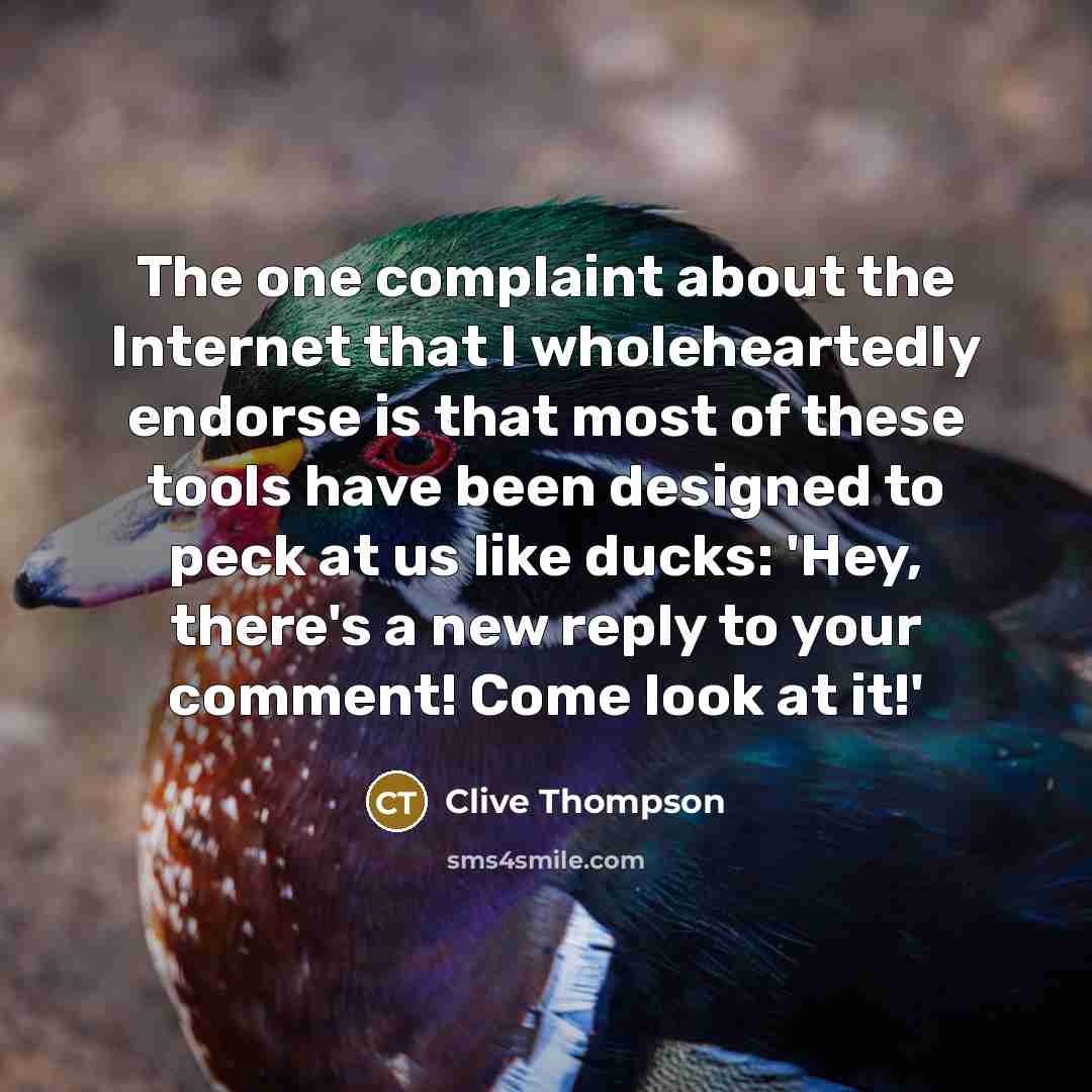 “The one complaint about the Internet that I wholeheartedly endorse…” quote by Clive Thompson