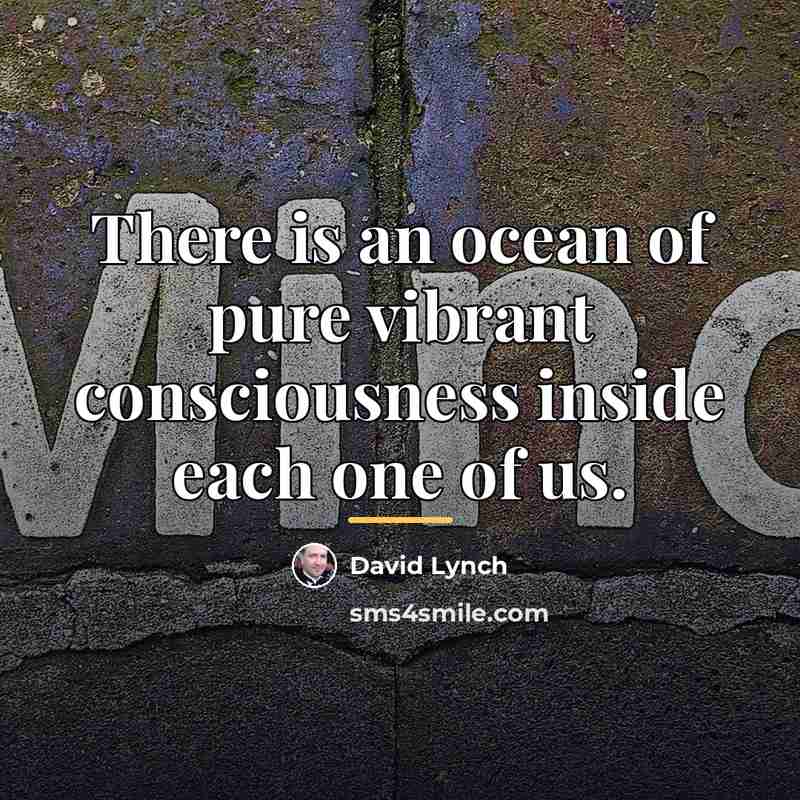 “There is an ocean of pure vibrant consciousness inside each…” quote by David Lynch