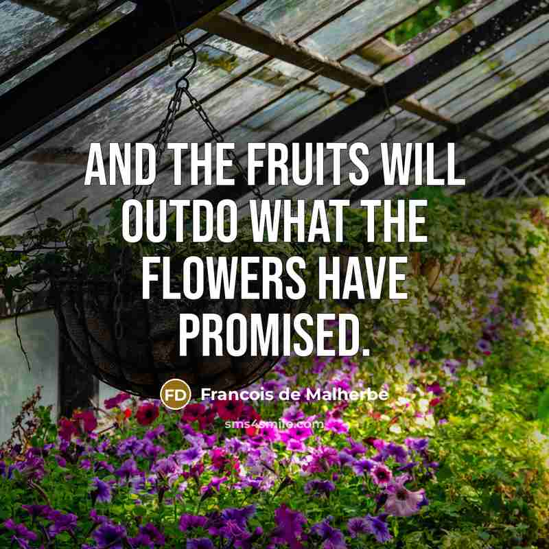 “And the fruits will outdo what the flowers have promised.…” quote by Francois de Malherbe