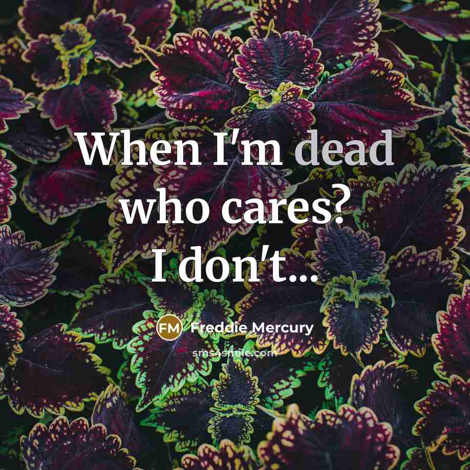 “When I'm dead who cares? I don't...…” quote by Freddie Mercury