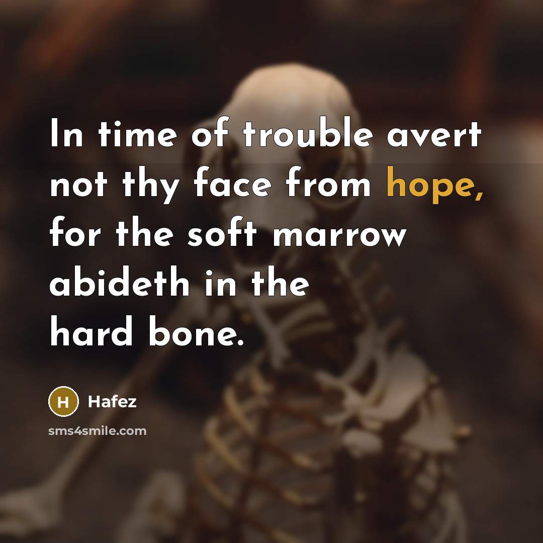 “In time of trouble avert not thy face from hope,…” quote by Hafez