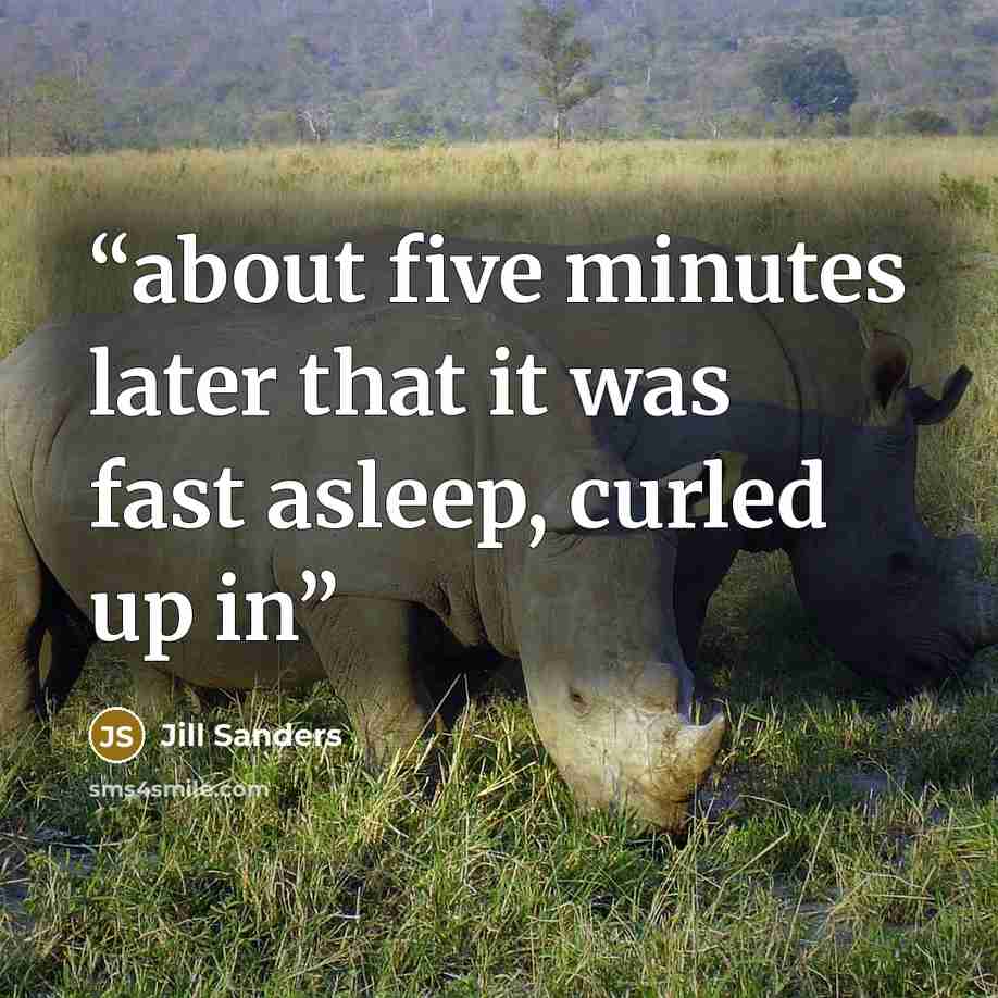 “about five minutes later that it was fast asleep, curled up in” quote by Jill Sanders