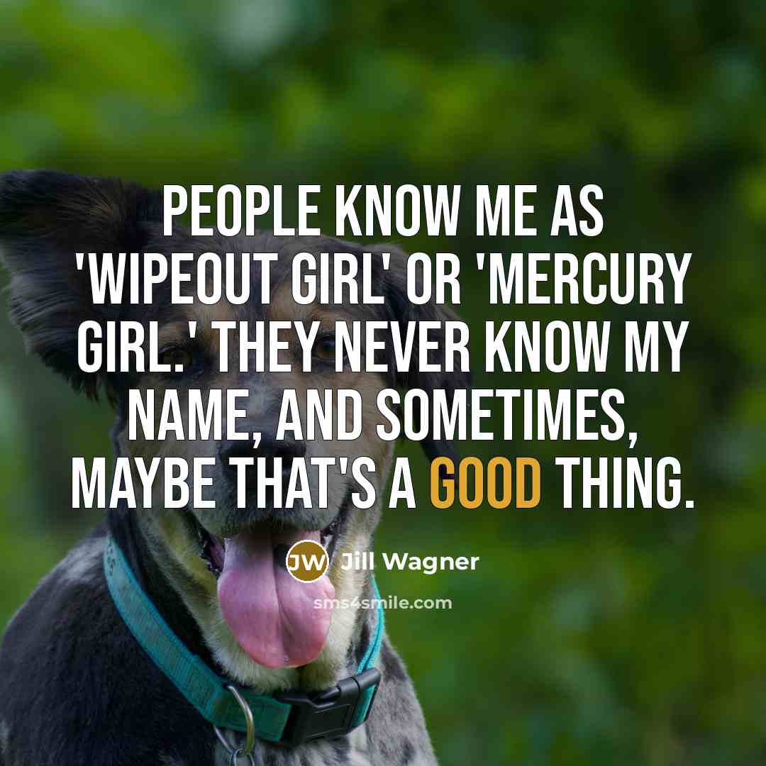 “People know me as 'Wipeout Girl' or 'Mercury Girl.' They…” quote by Jill Wagner