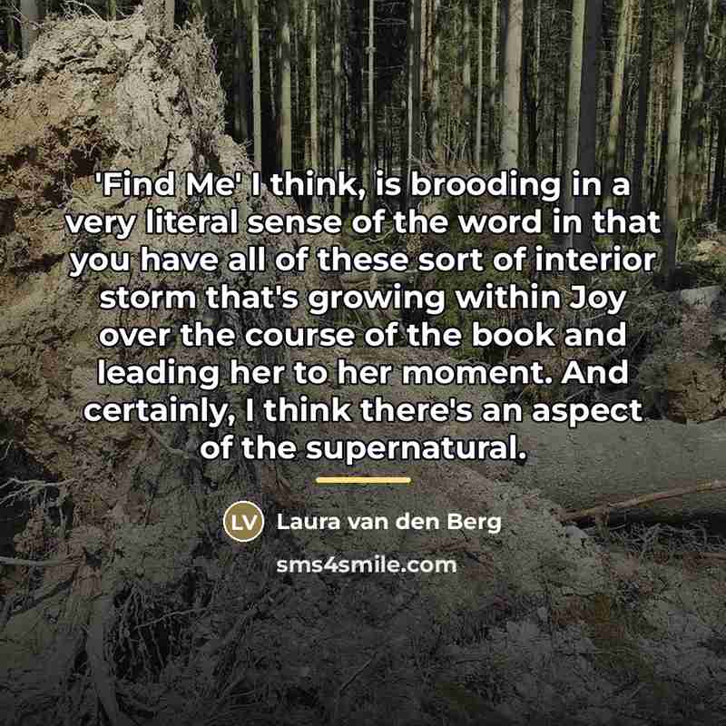 “'Find Me' I think, is brooding in a very literal…” quote by Laura van den Berg