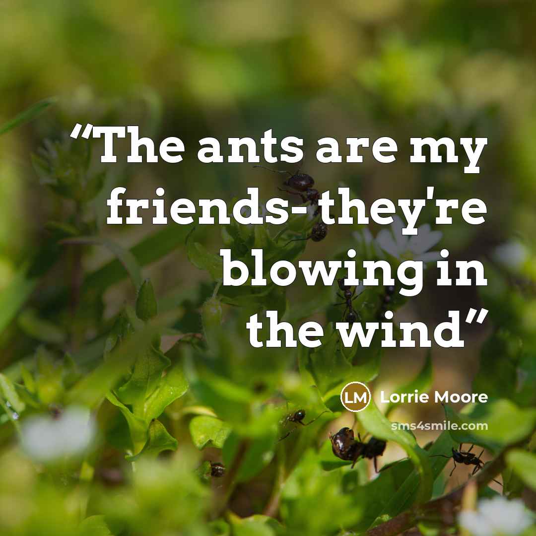“The ants are my friends- they're blowing in the wind” quote by Lorrie Moore