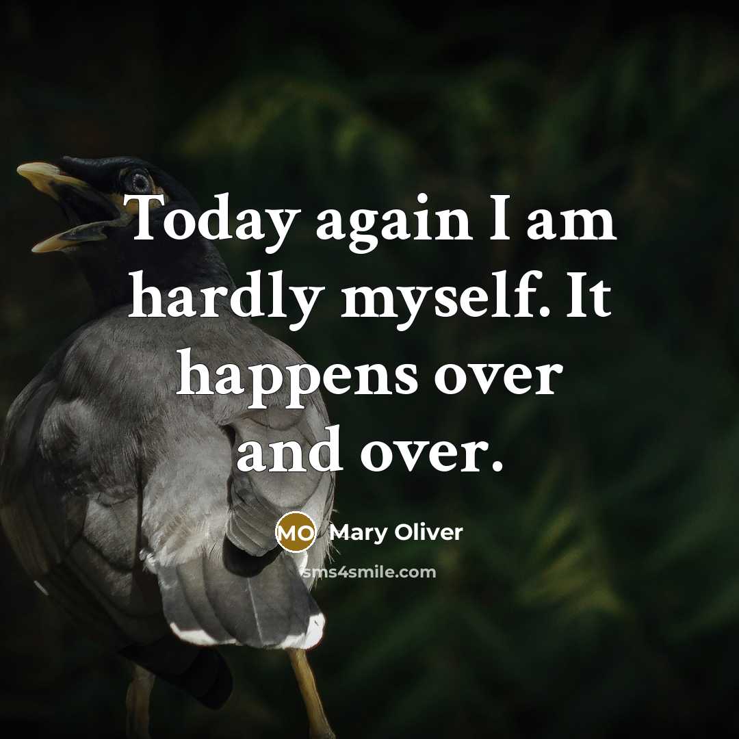 “Today again I am hardly myself. It happens over and…” quote by Mary Oliver