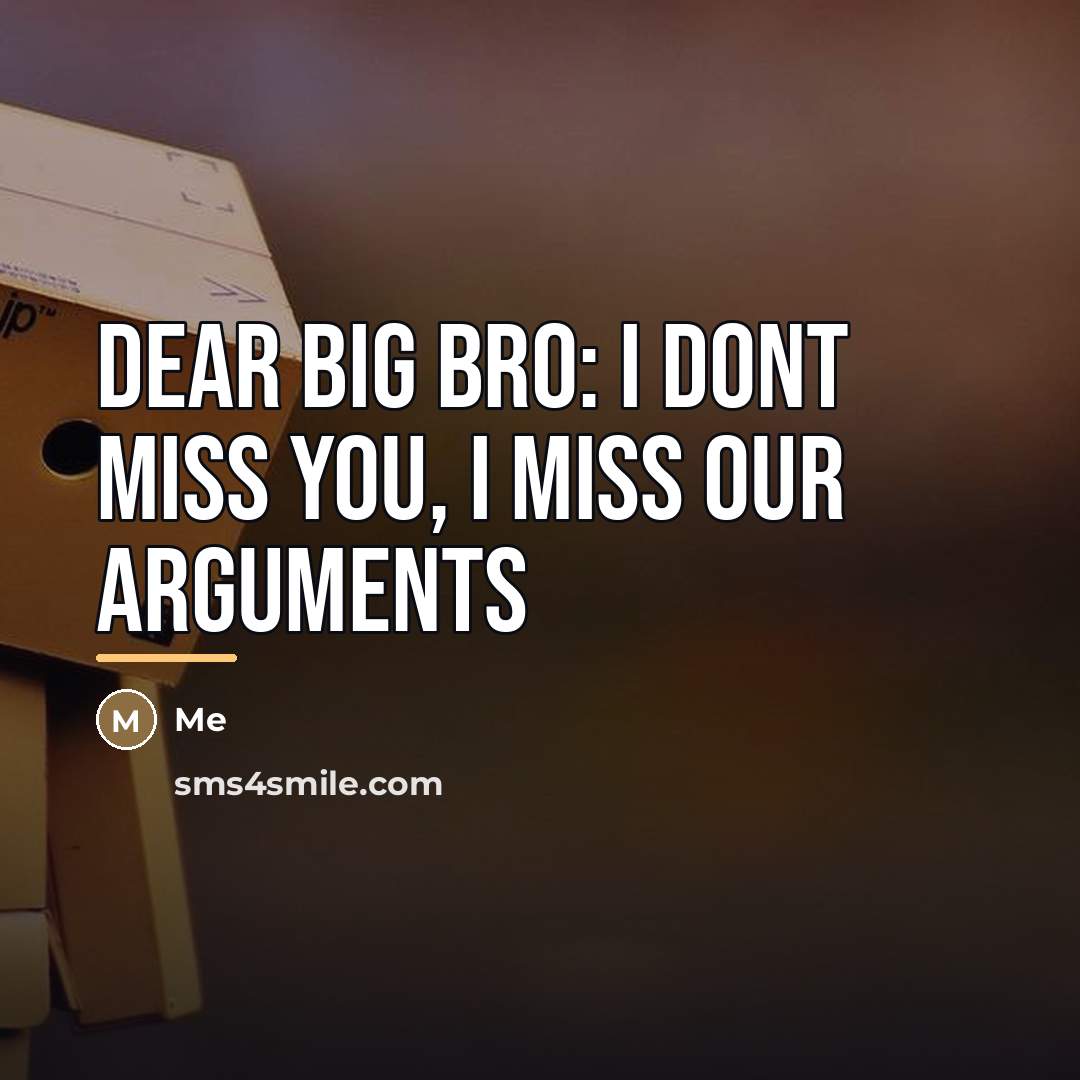 “Dear big bro: I dont miss you, I miss our…” quote by Me