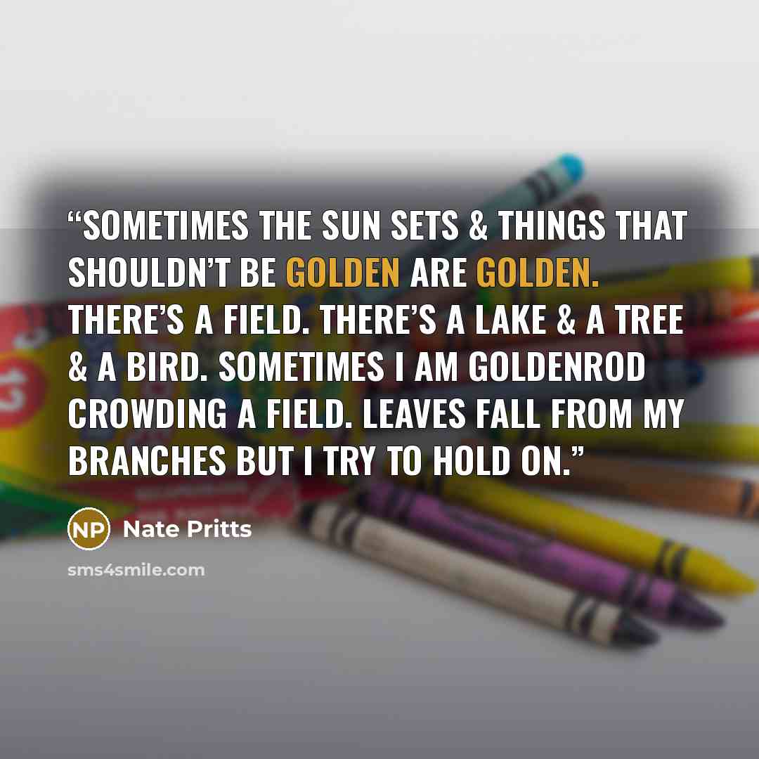 “Sometimes the sun sets & things that shouldn’t be golden are golden. There’s a field. There’s a lake & a tree & a bird. Sometimes I am goldenrod crowding a field. Leaves fall from my branches but I try to hold on.” quote by Nate Pritts