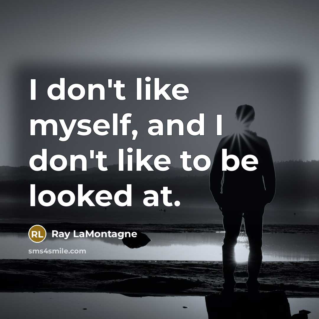 “I don't like myself, and I don't like to be looked at.” quote by Ray LaMontagne