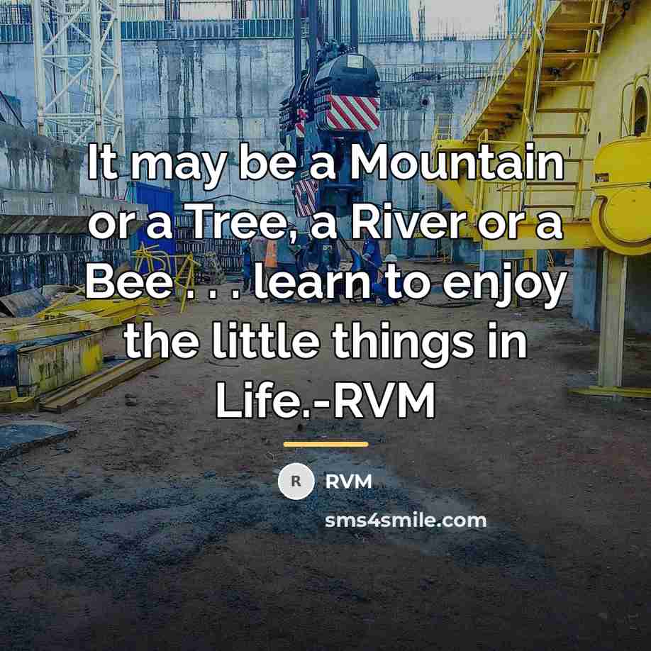 “It may be a Mountain or a Tree, a River…” quote by RVM