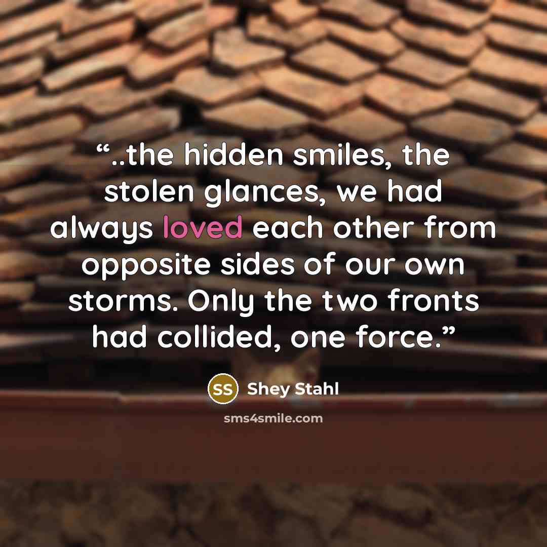 “..the hidden smiles, the stolen glances, we had always loved each other from opposite sides of our own storms. Only the two fronts had collided, one force.” quote by Shey Stahl