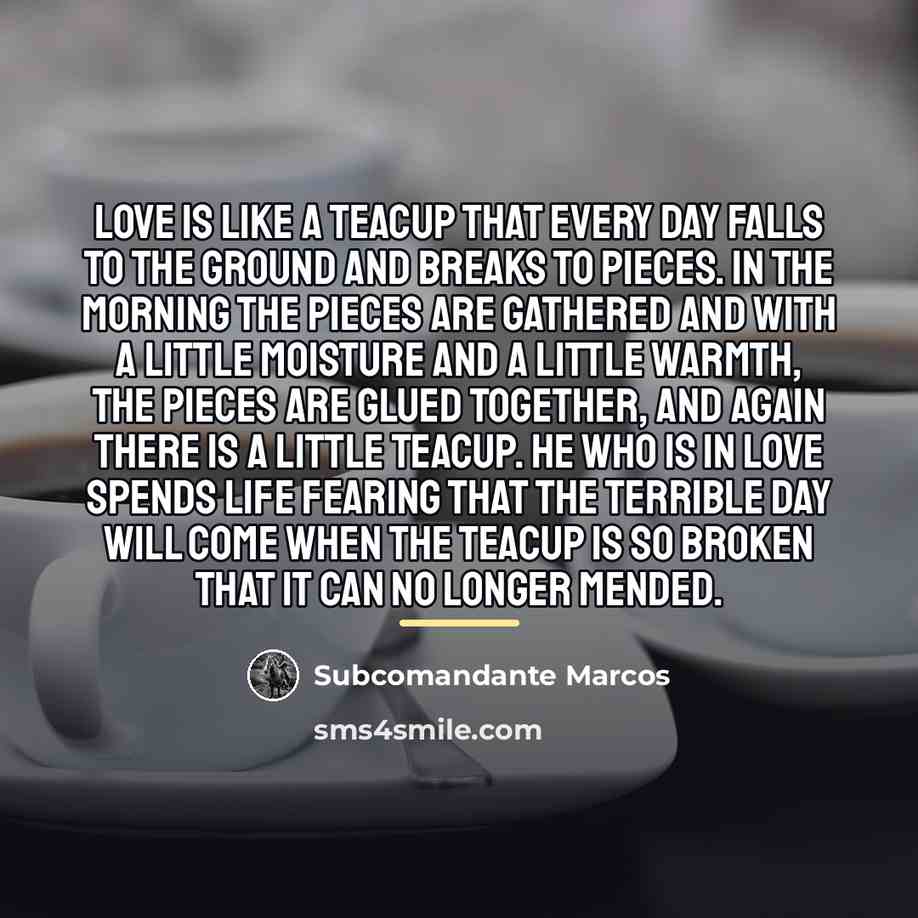 “Love is like a teacup that every day falls to…” quote by Subcomandante Marcos