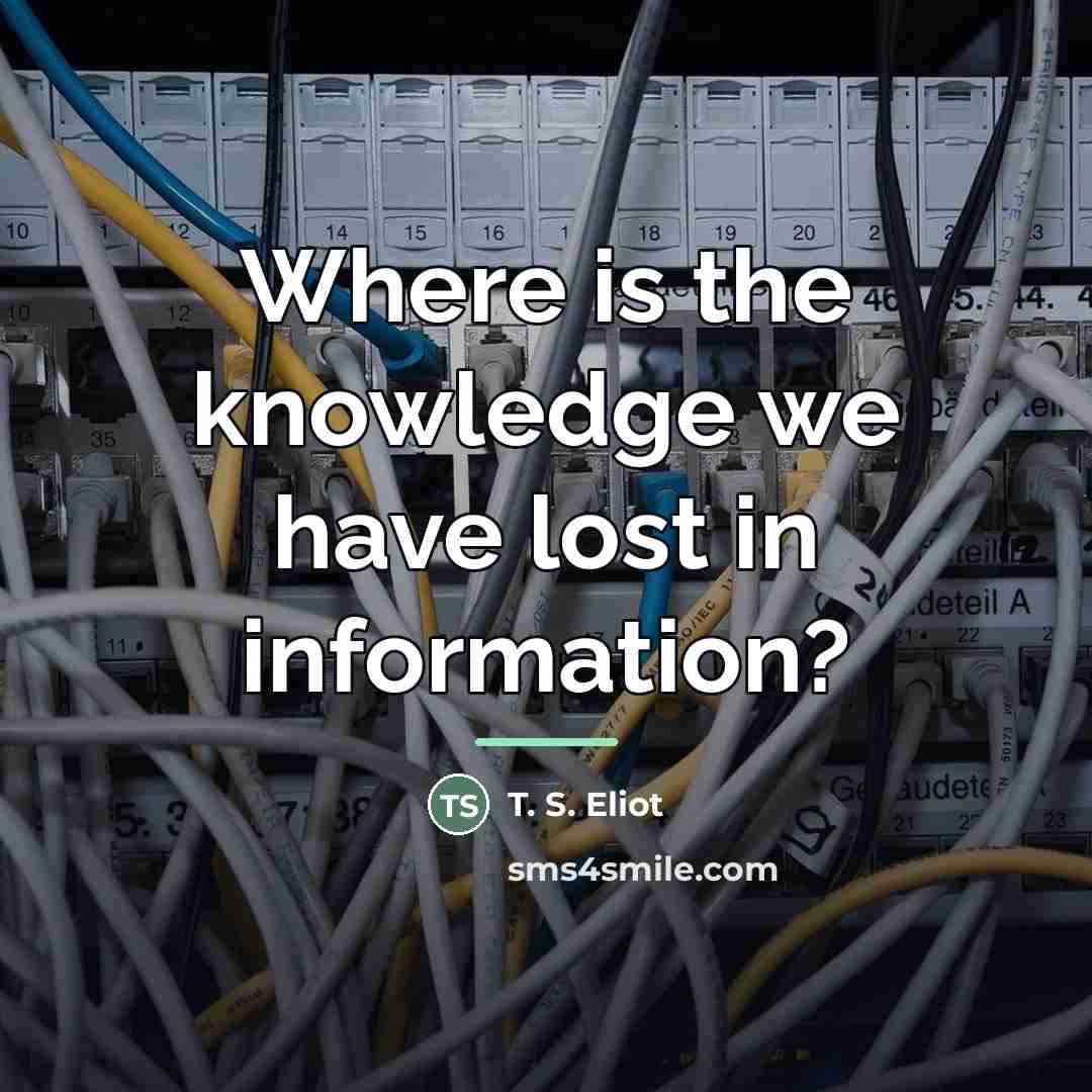 “Where is the knowledge we have lost in information?…” quote by T. S. Eliot