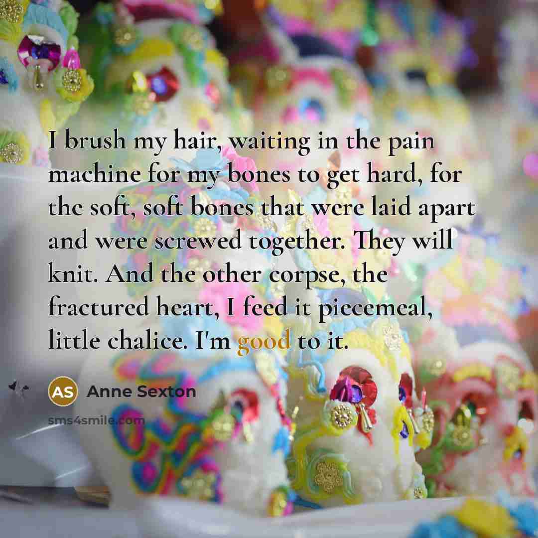“I brush my hair, waiting in the pain machine for…” quote by Anne Sexton
