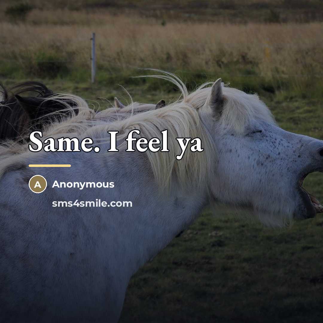 “Same. I feel ya…” quote by Anonymous