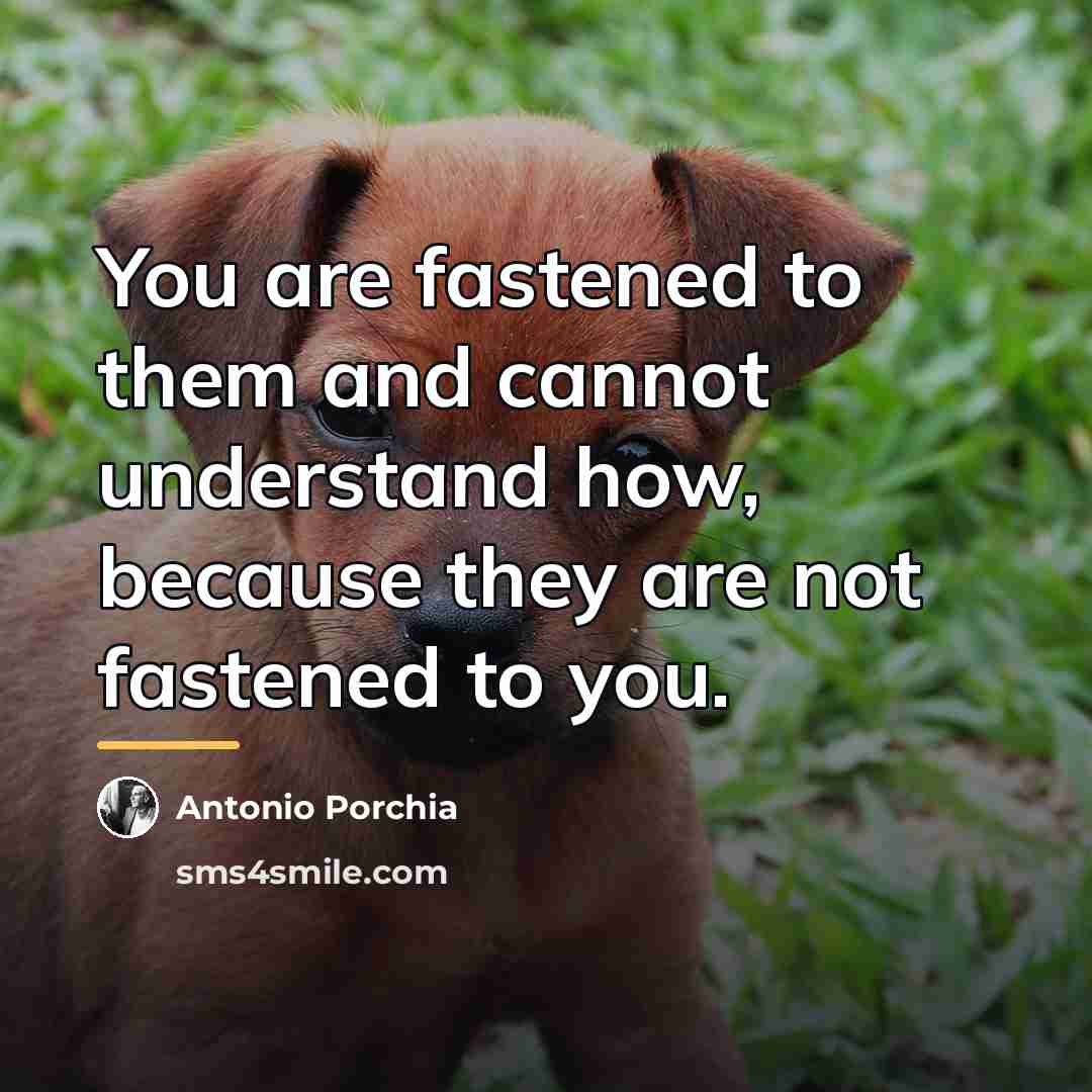“You are fastened to them and cannot understand how, because…” quote by Antonio Porchia