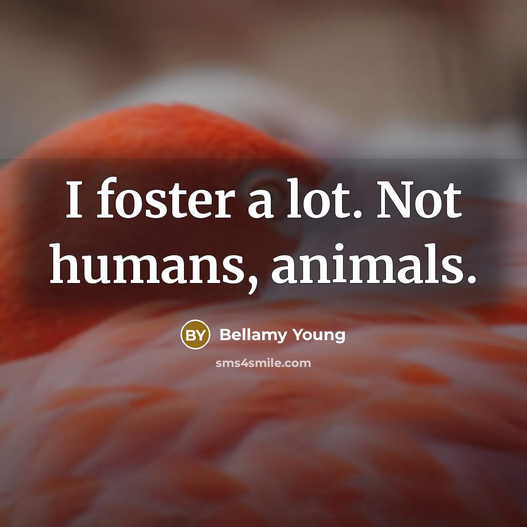 “I foster a lot. Not humans, animals.…” quote by Bellamy Young