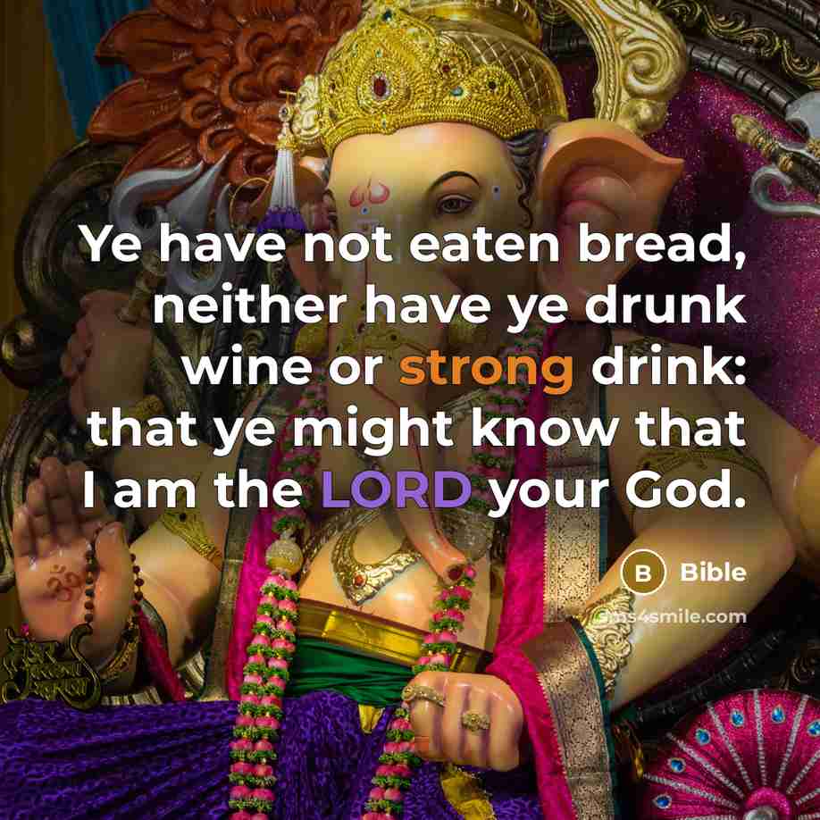 “Ye have not eaten bread, neither have ye drunk wine…” quote by Bible