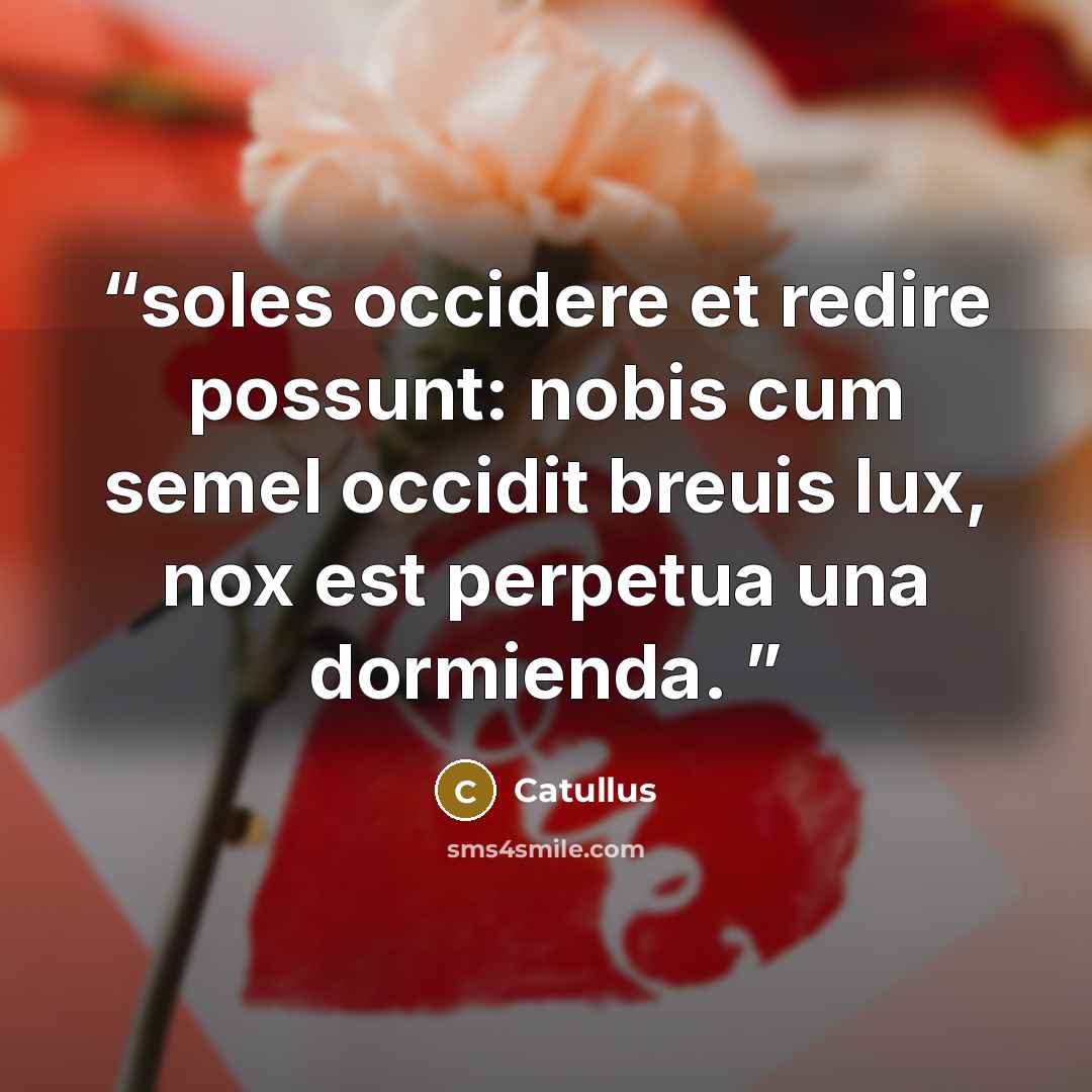 “soles occidere et redire possunt: nobis cum semel occidit breuis lux, nox est perpetua una dormienda.” quote by Catullus