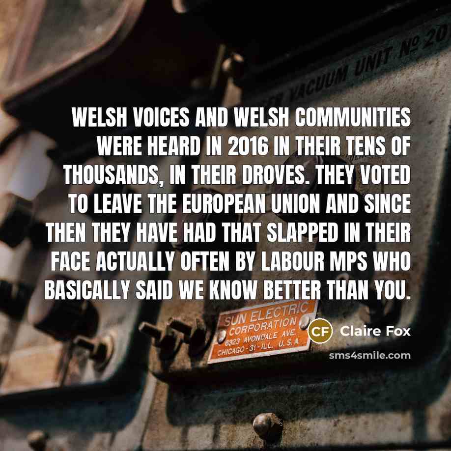 “Welsh voices and Welsh communities were heard in 2016 in…” quote by Claire Fox