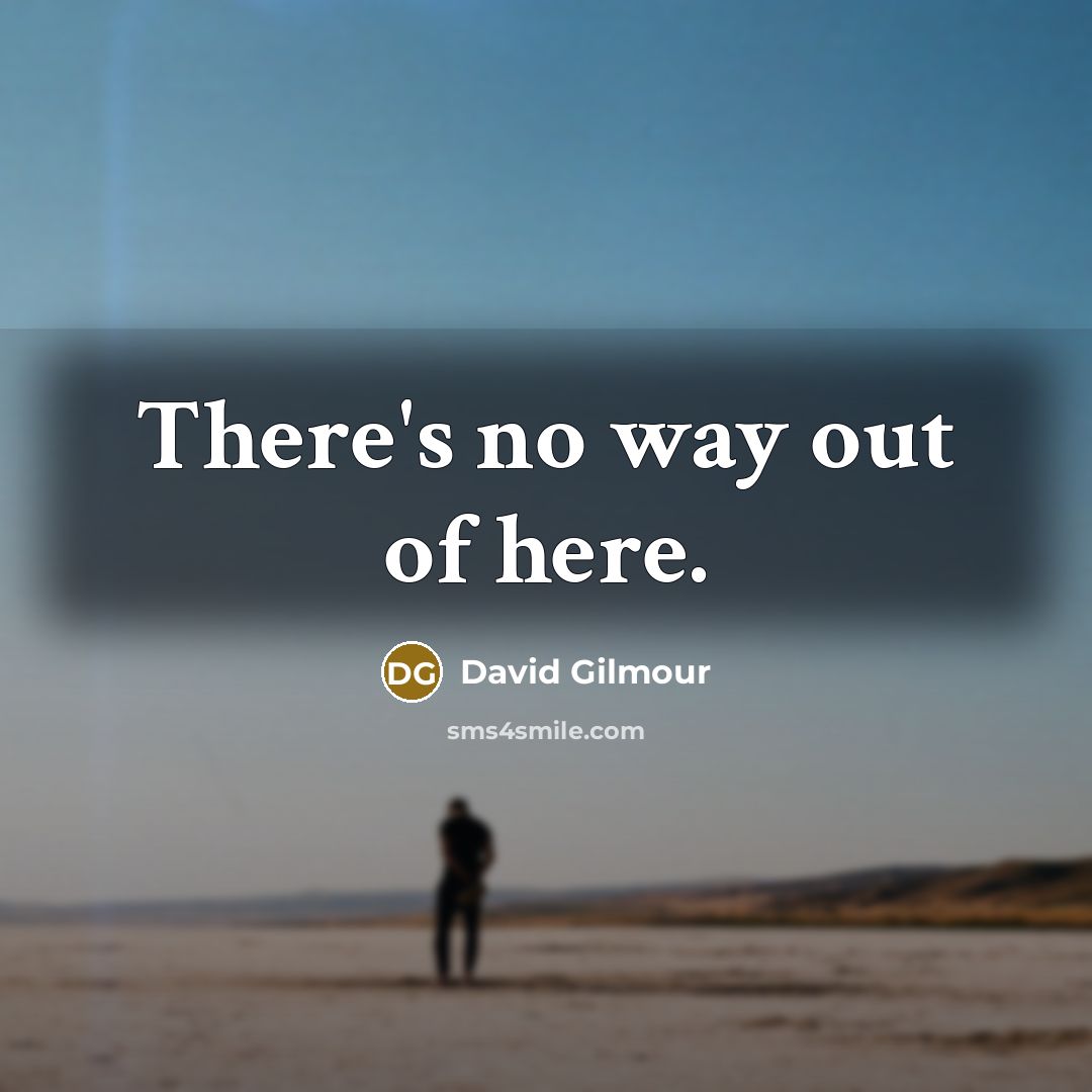 “There's no way out of here.…” quote by David Gilmour