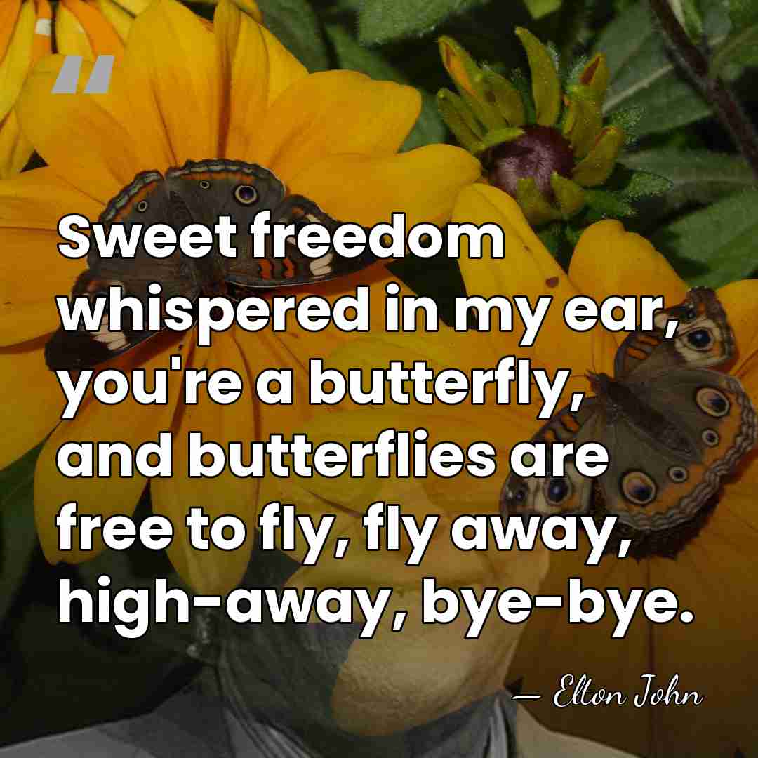 Sweet freedom whispered in my ear, you're a butterfly, and butterflies are&hellip; - Elton John