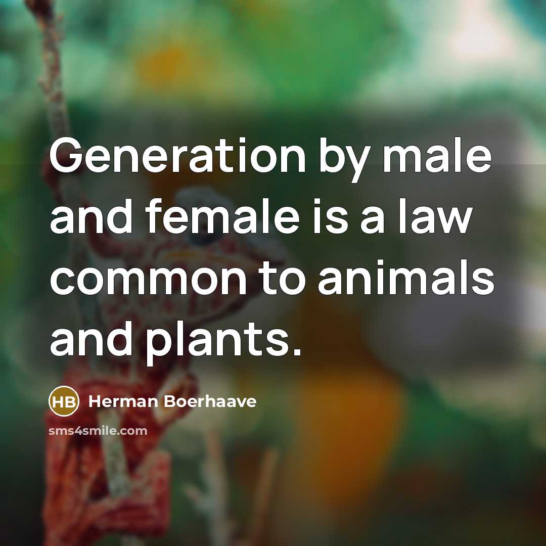 “Generation by male and female is a law common to…” quote by Herman Boerhaave