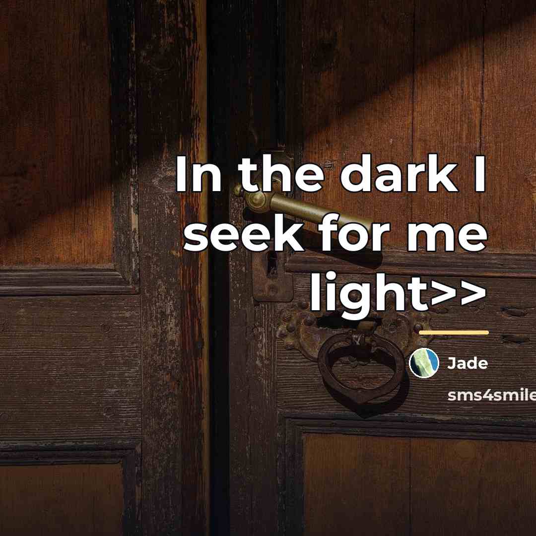 “In the dark I seek for me light>>…” quote by Jade
