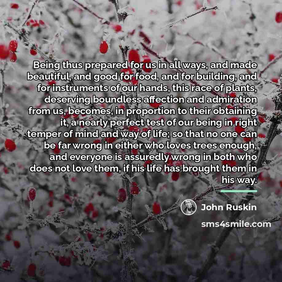 “Being thus prepared for us in all ways, and made…” quote by John Ruskin