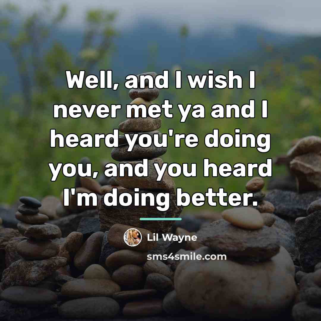 “Well, and I wish I never met ya and I…” quote by Lil Wayne