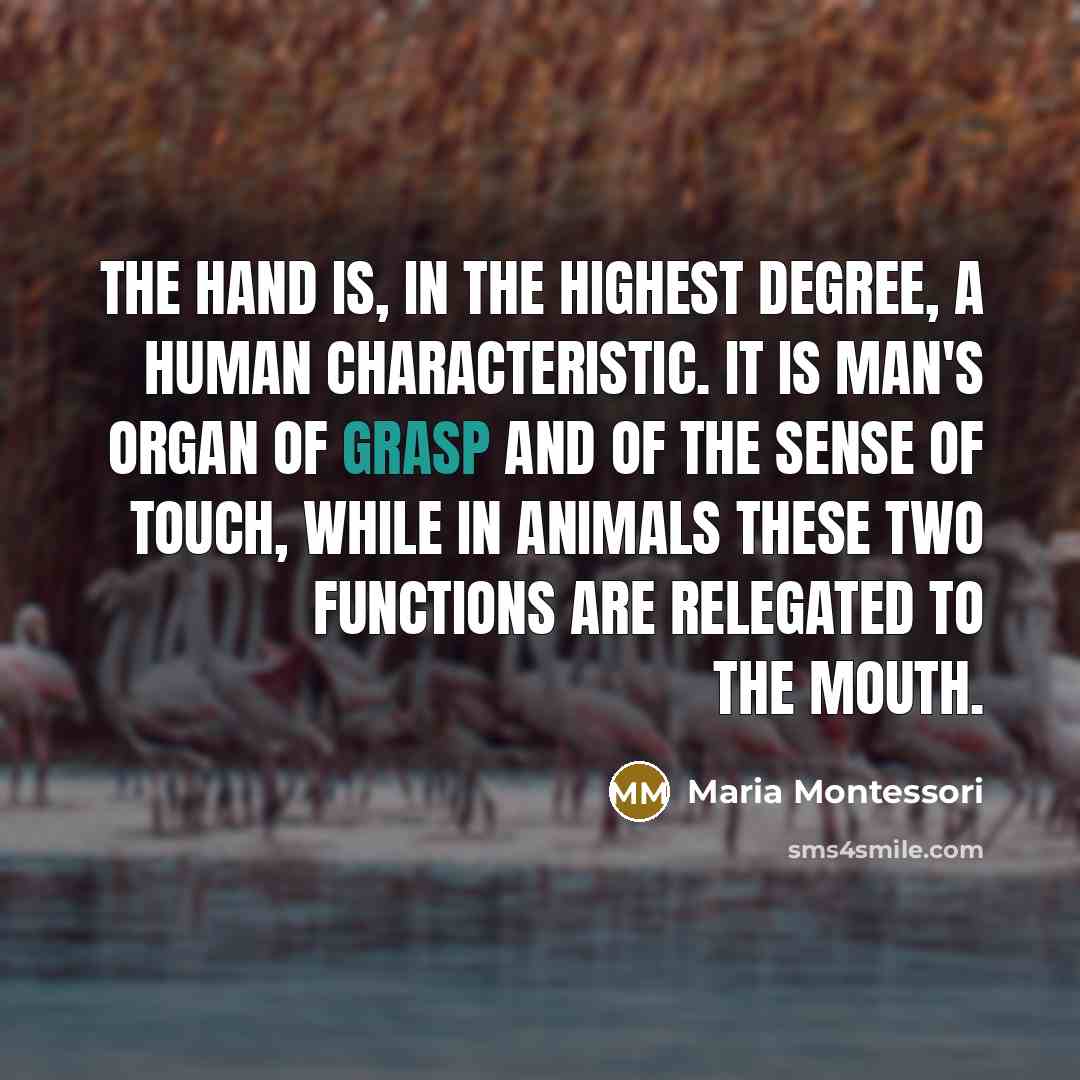 “The hand is, in the highest degree, a human characteristic.…” quote by Maria Montessori