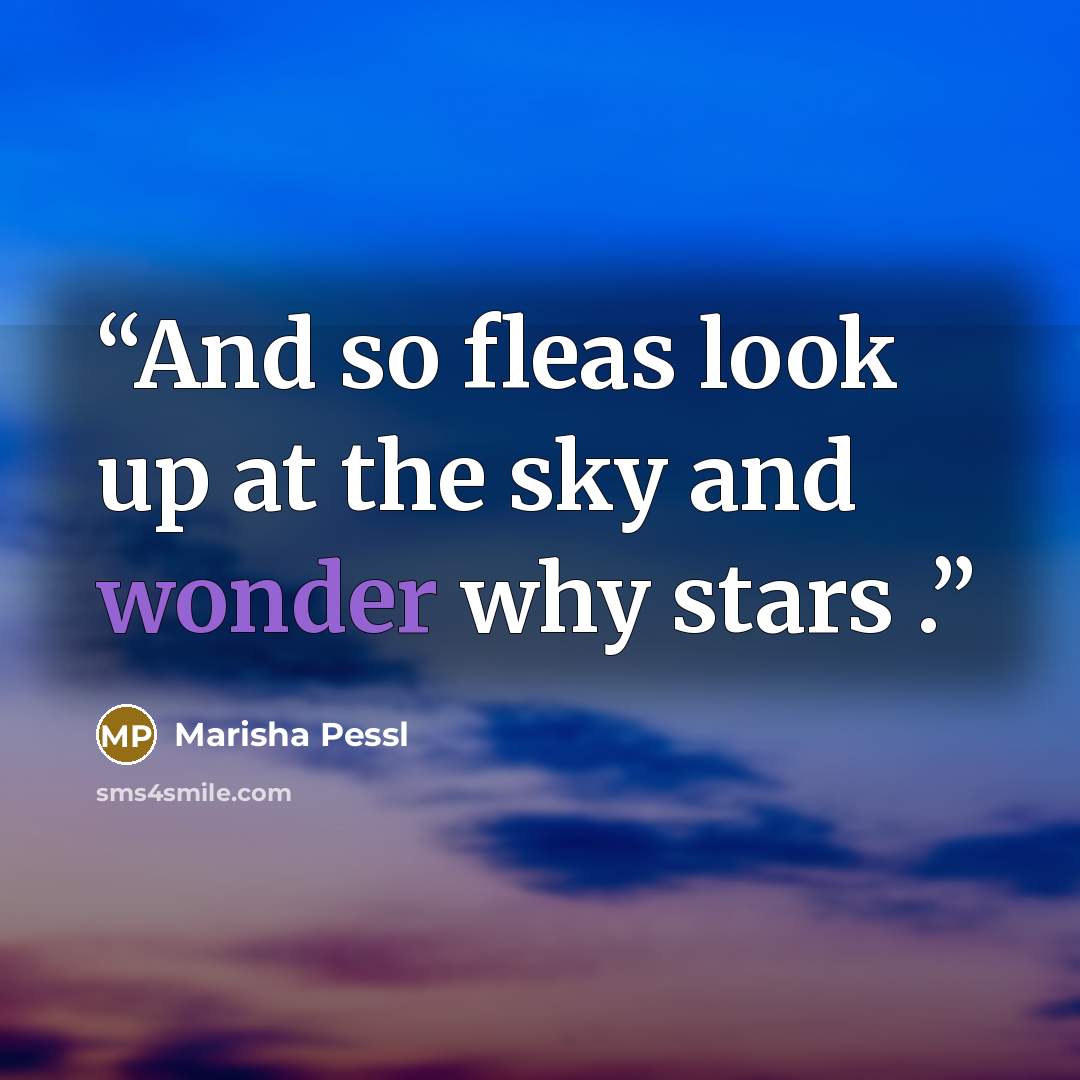 “And so fleas look up at the sky and wonder why stars .” quote by Marisha Pessl