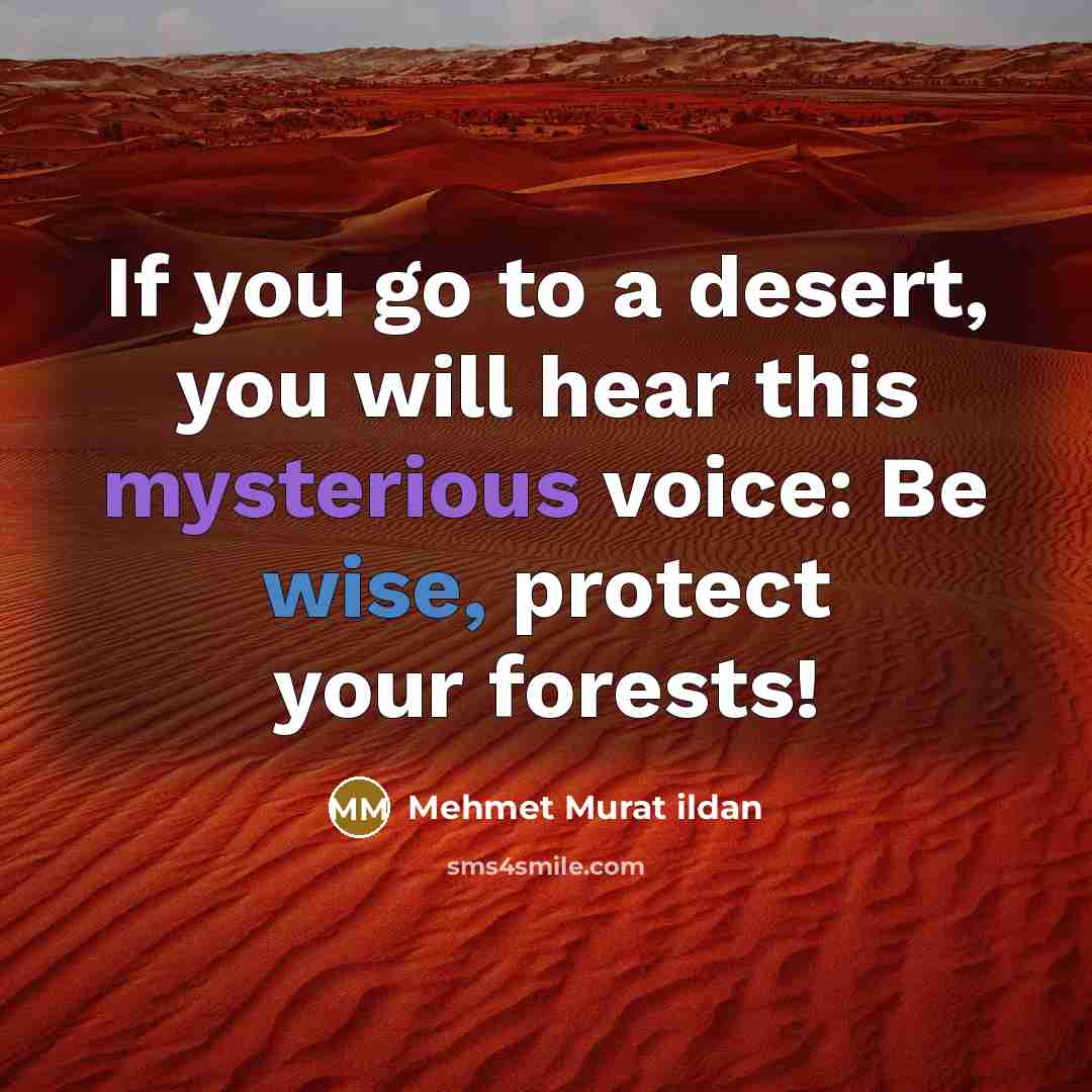 “If you go to a desert, you will hear this…” quote by Mehmet Murat Ildan