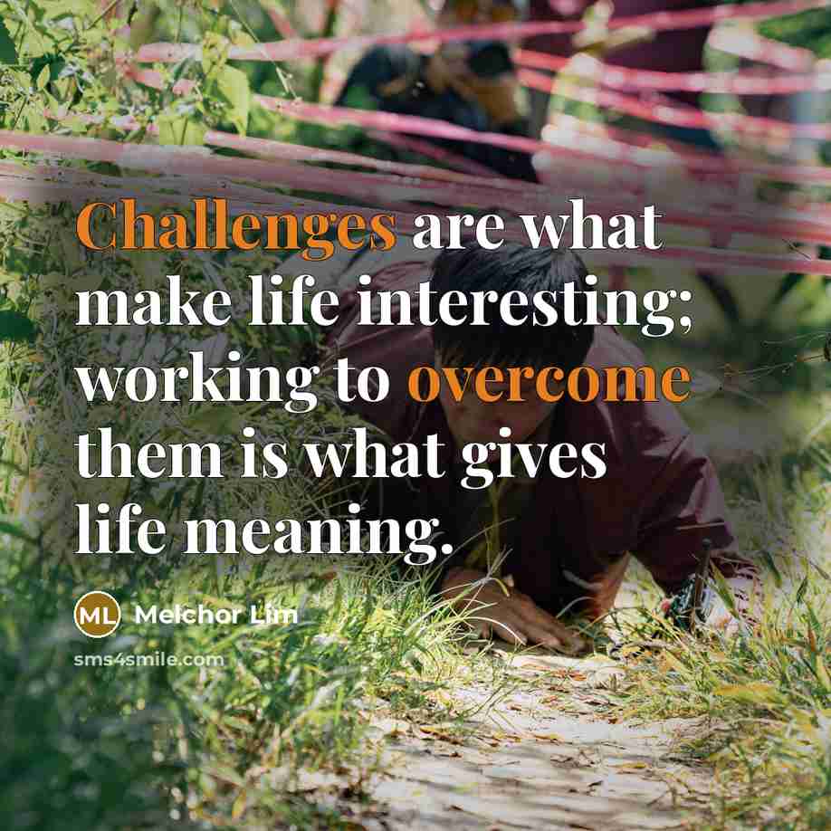 “Challenges are what make life interesting; working to overcome them is what gives life meaning.” quote by Melchor Lim